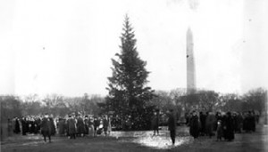 "The first National Christmas Tree," lit on December 24, 1923, in the middle of the Ellipse.  The Washington Monument is seen in the background. (Library of Congress, Prints and Photographs Division)
