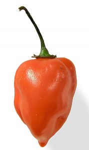 356px-Habanero_closeup_edit2