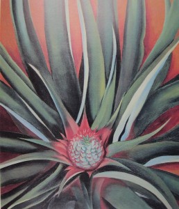 Pineapple Bud, 1939, oil on canvas.